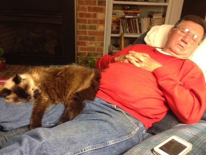 "Вот так мой 70-летний папа и его 20-летний кот проводят свои вечера"