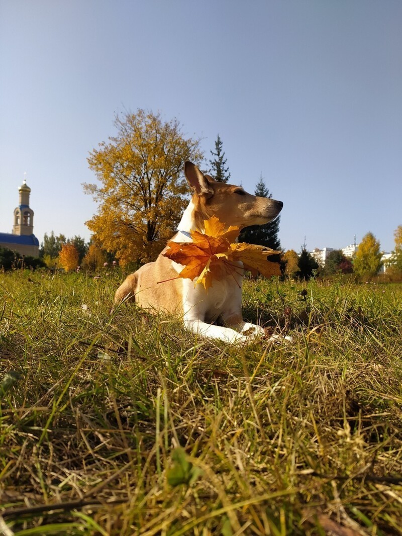 С добрым утром!