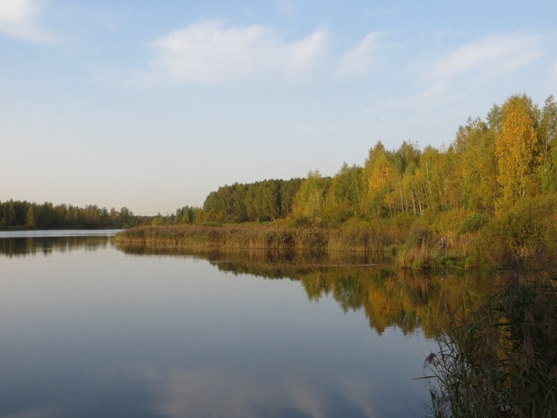 Воскресное утро