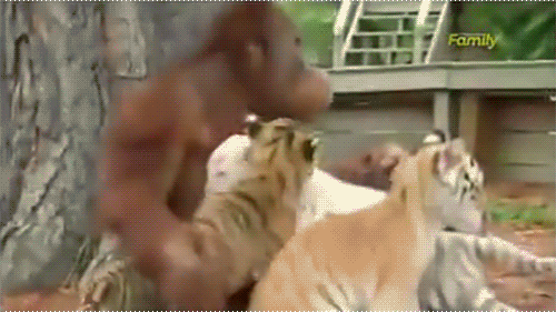 Все мамы одинаковые