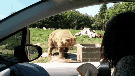 Гифки разные