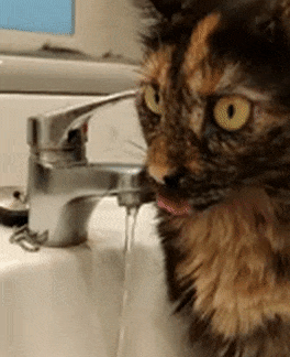 Хороша водичка