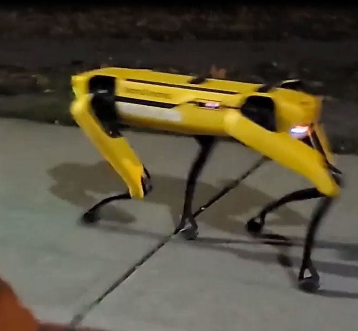 Робопёс на видео – это робот Boston Dynamics по имени Спот.