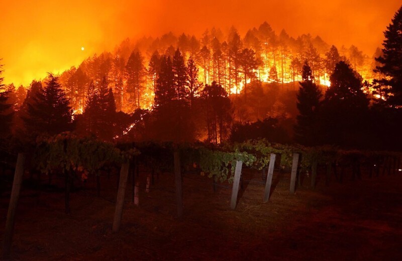 Пожары в Калифорнии: огонь уничтожает знаменитые виноградники в долине Напа. (Фото Justin Sullivan):