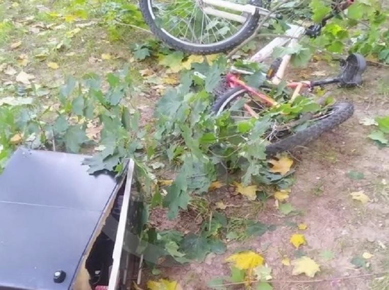 Мужчина в лифчике ранил женщину,выбросил в окно кошку и велосипед, а затем самоубился: видео 