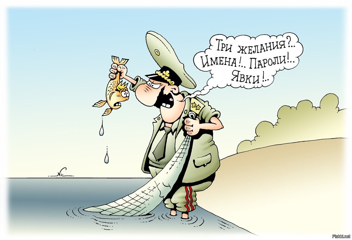 Три желания парень. Золотая рыбка смешная. Анекдоты про желания. Желание карикатура. Золотая рыбка карикатура.