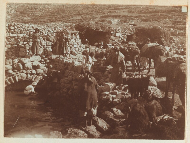 Виды Палестины в 1898 году