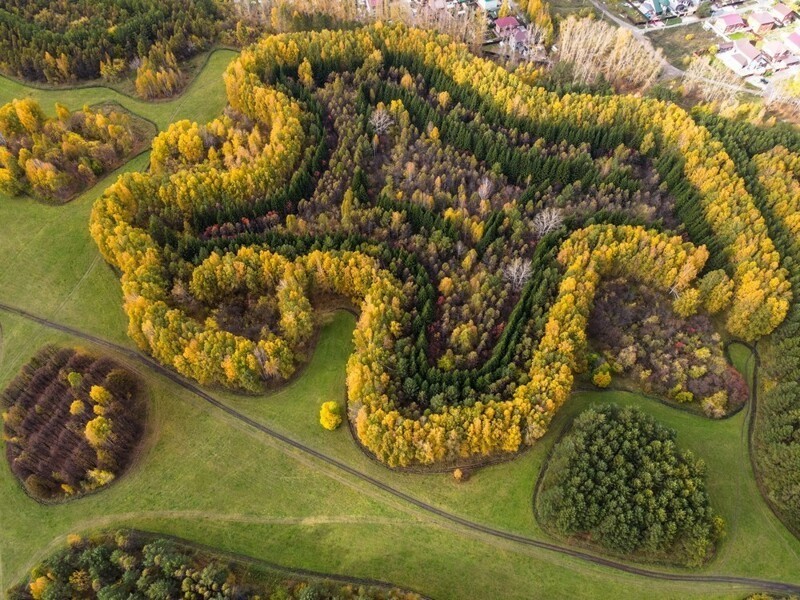 Краснообск парк синягина фото