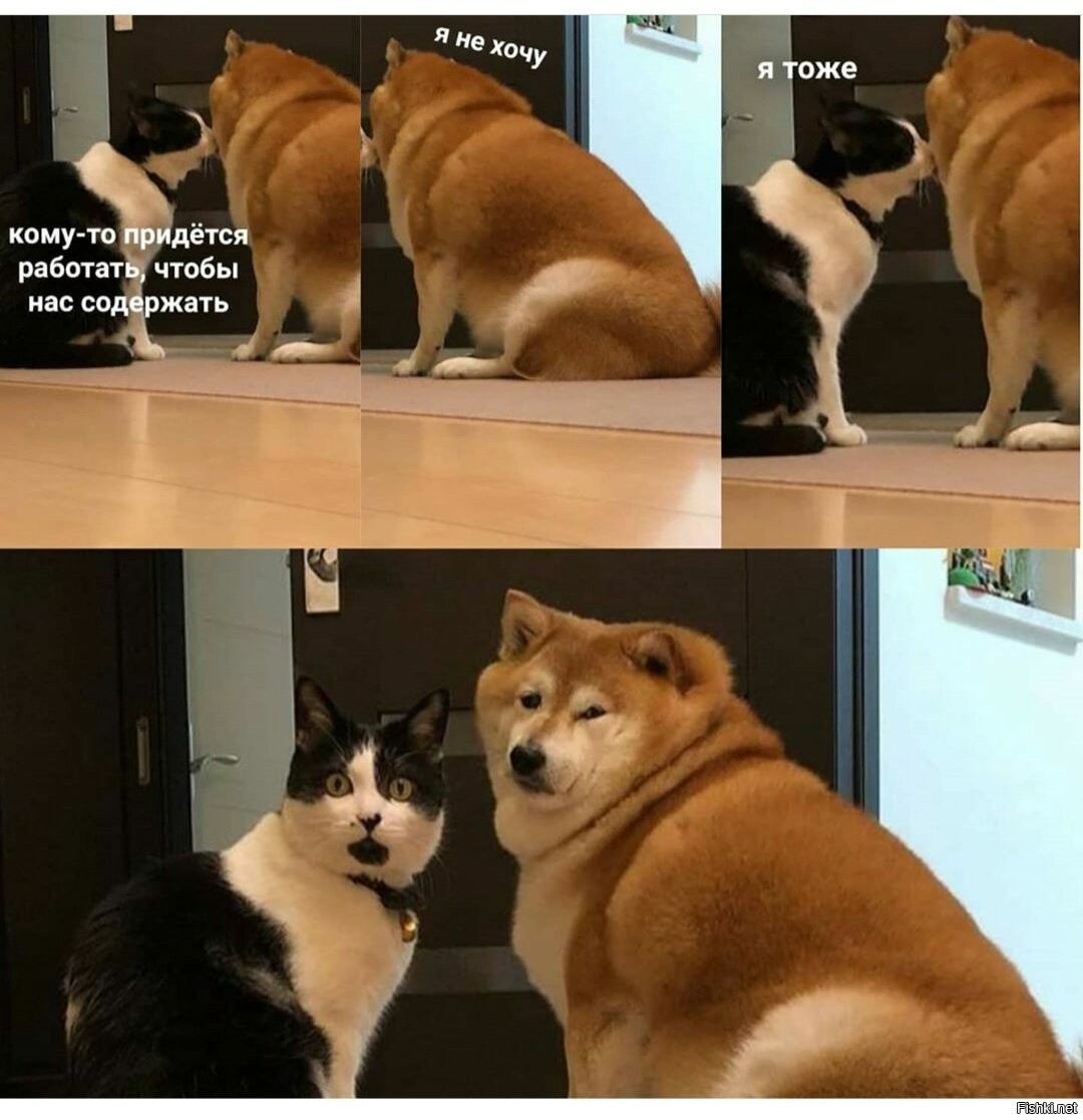 Работу не предлагать. Опять на работу картинки. Кому-то надо работать чтобы нас кормить. Я очень устала. Не хочется работать.