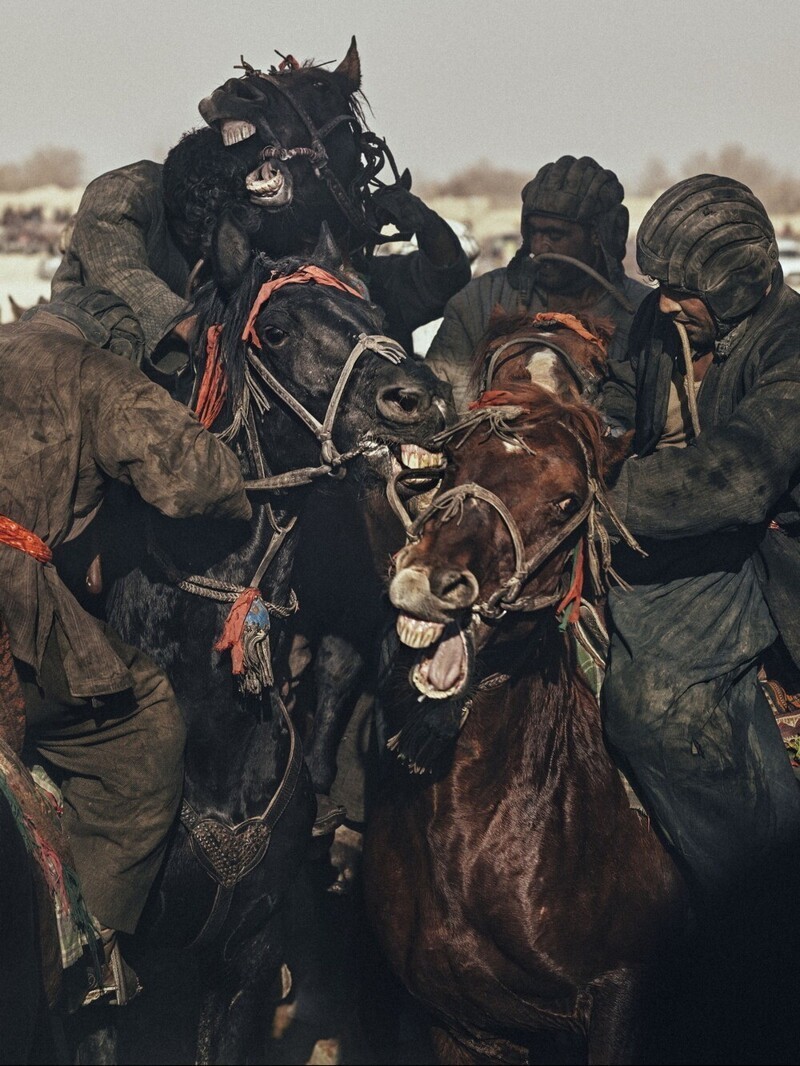 Древняя афганская забава Бузкаши