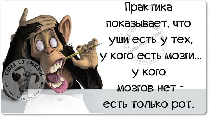 Практика показывает что чем больше. Практика показывает у кого есть уши. Практика показывает что уши есть. Уши есть только у тех у кого есть мозги. Практика показывает что уши есть у тех у кого есть мозги у кого.