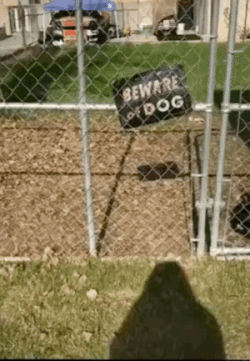 понятно, что завтра среда, на работу вообще не охота, но откуда столько злост...