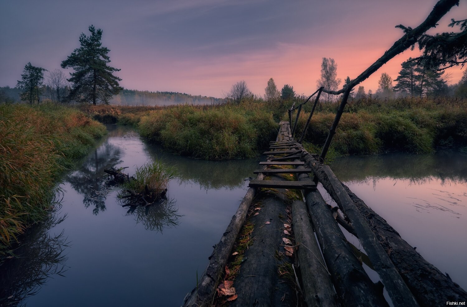 Красное Утро Фото