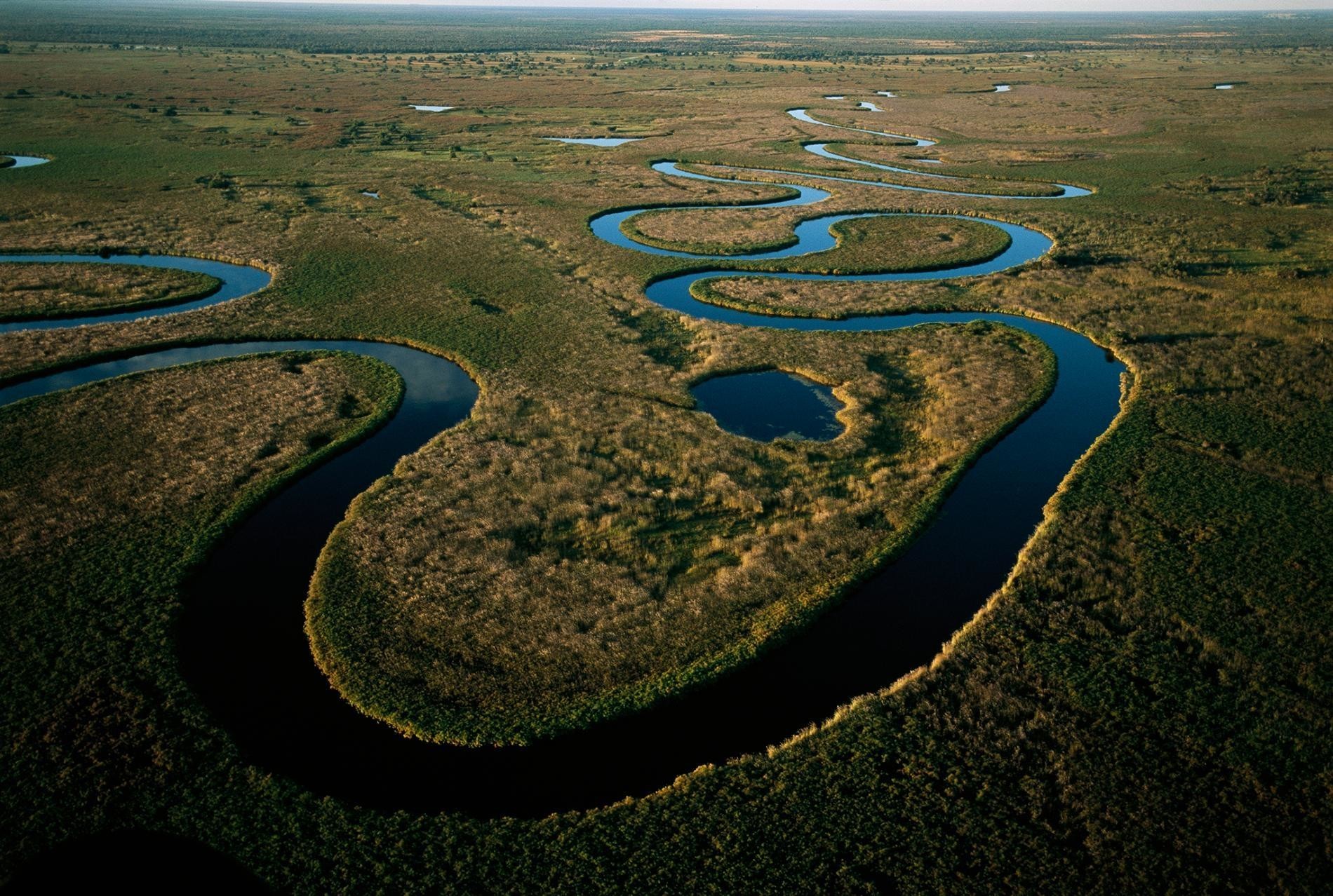 Реки никуда не. Дельта реки Окаванго. Дельта реки Окаванго в Ботсване. Дельта реки Окаванго Африка. Река Окаванго в Калахари.