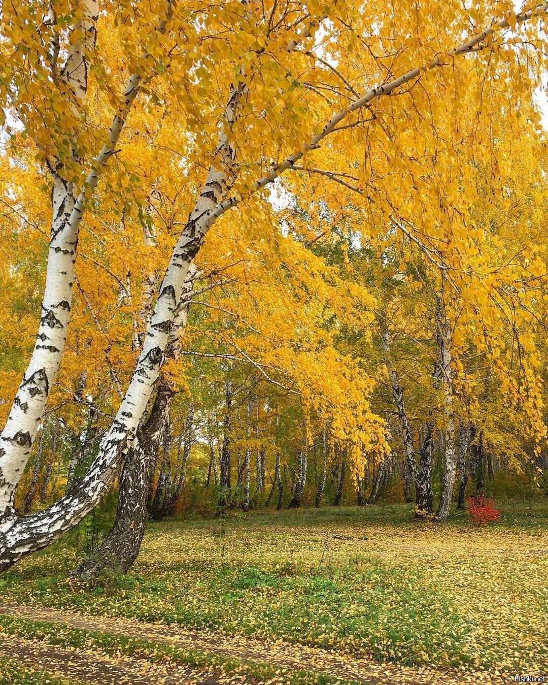 Южный Урал осень