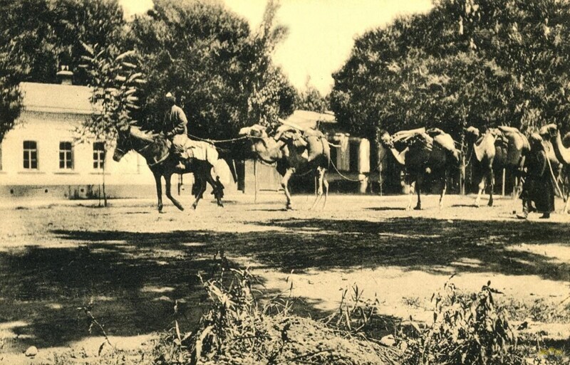 Купцы и верблюды на улицах Ташкента. Койлюкский проспект.