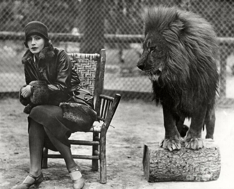 Грета Гарбо и лев Лео. США. 1926 год.