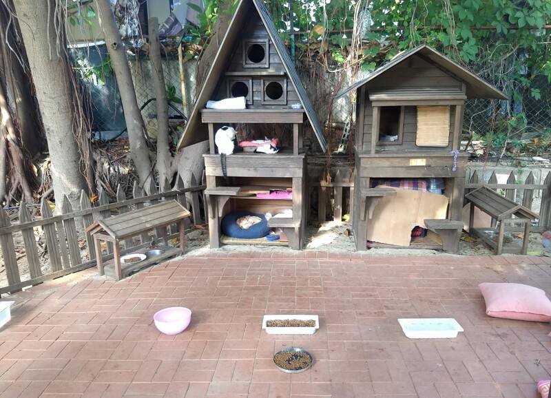 В московском дворе возвели жилкомплекс для бродячих кошек