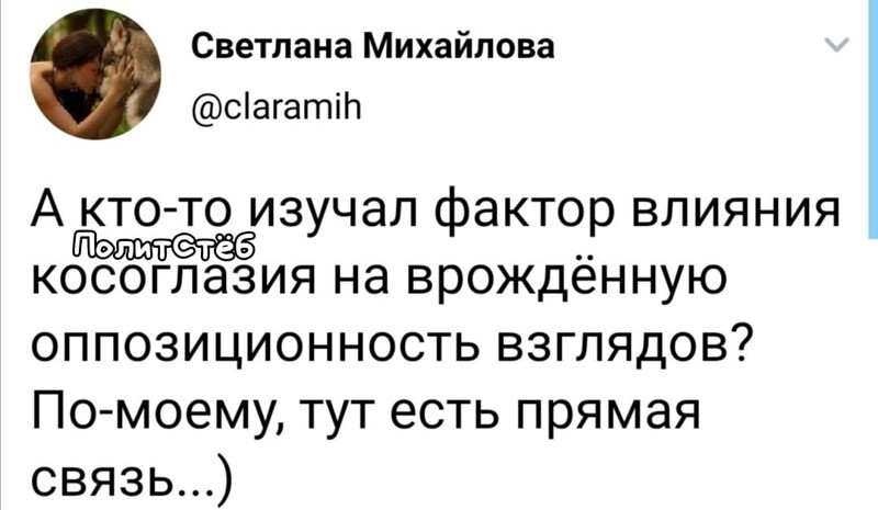 Политические комментарии из инета