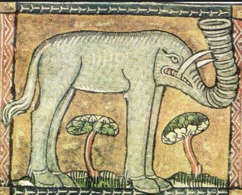 14. Еще один странный слон