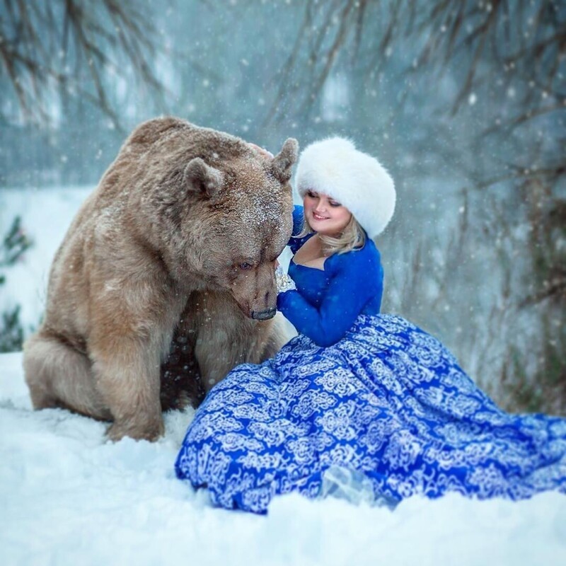 Бурый медведь из России делает успешную карьеру модели