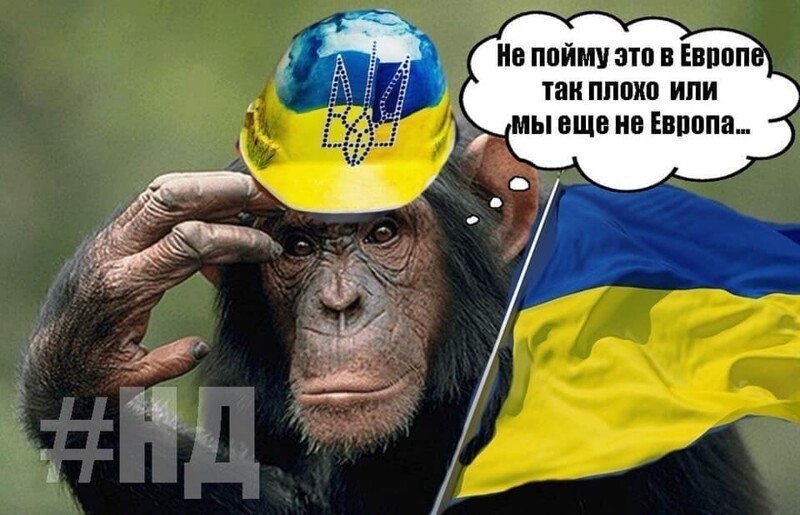 Политические комментарии из инета
