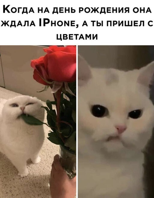 Прикольные и смешные картинки