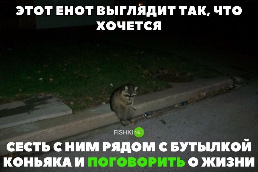 Прикольные и смешные картинки от Димон за 10 октября 2020 18:50