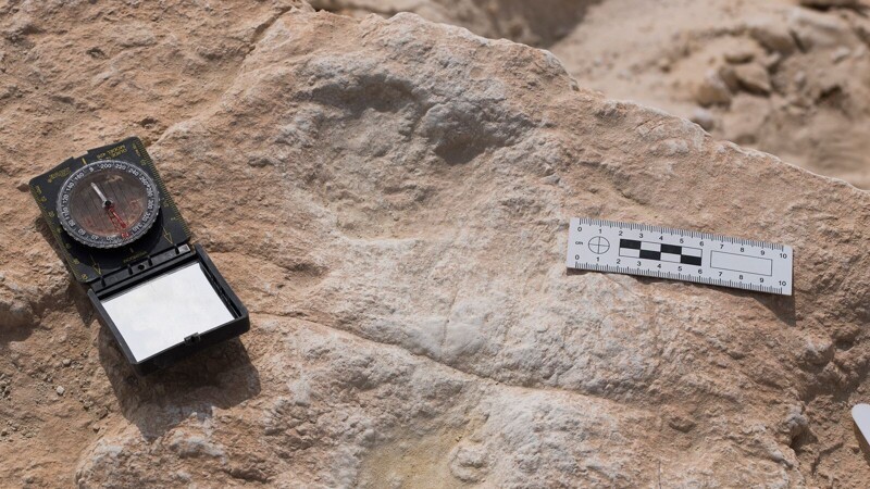 В Саудовской Аравии обнаружили следы древних людей