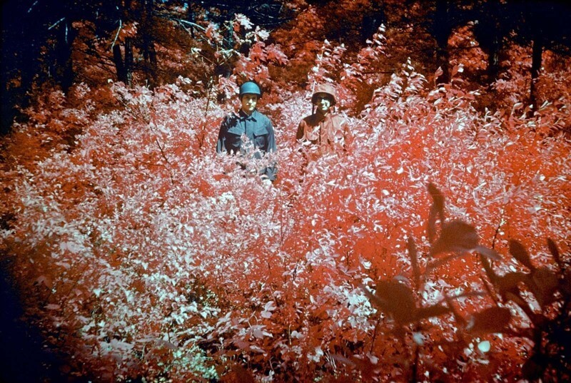 Камуфляж-невидимка для инфракрасного диапазона, 1974 г.