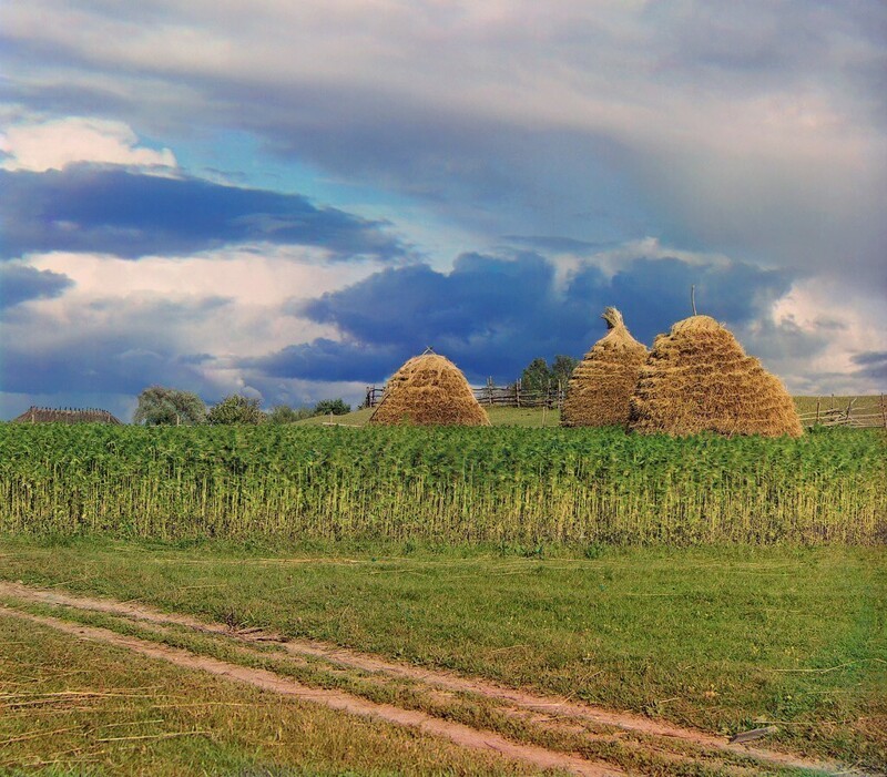 Осень. Этюд у дер. Горки. Бородино