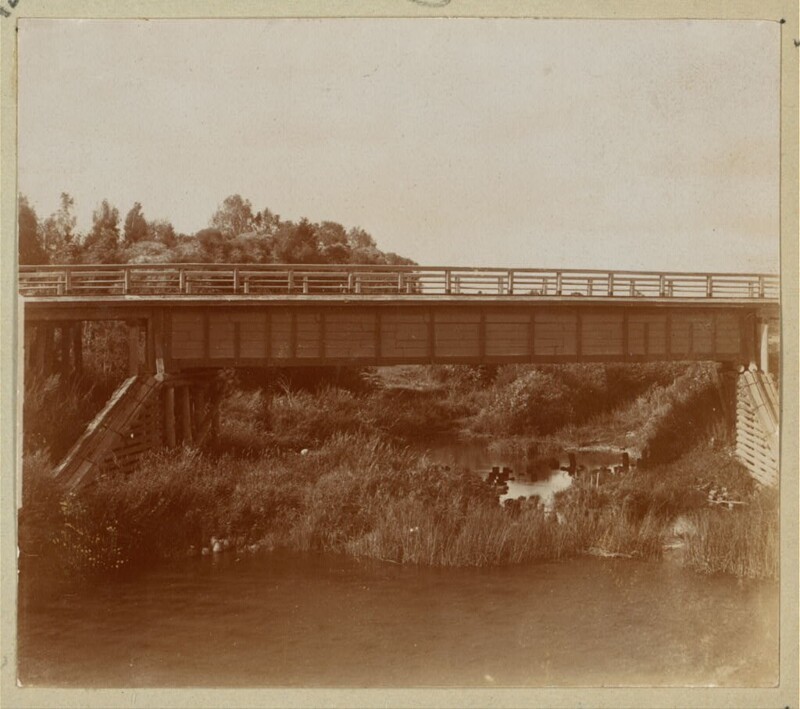 Остатки свай французского моста через р. Колочь у деревни Горки. Бородино