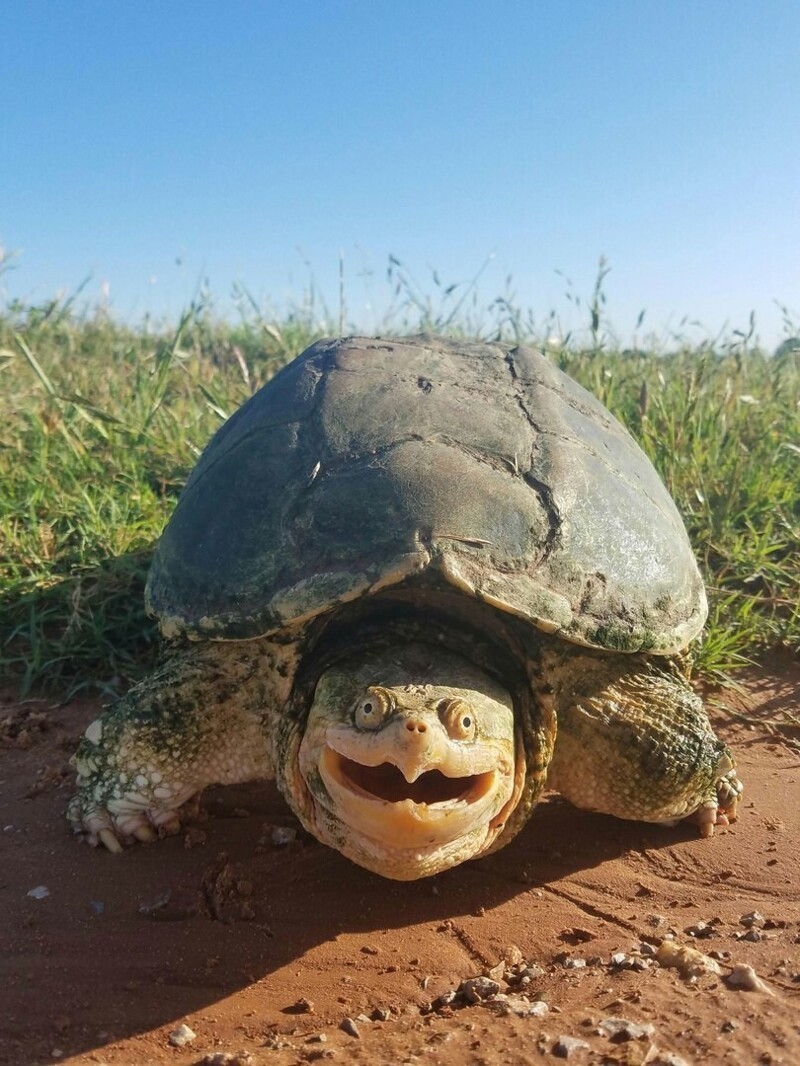 С добрым утром!