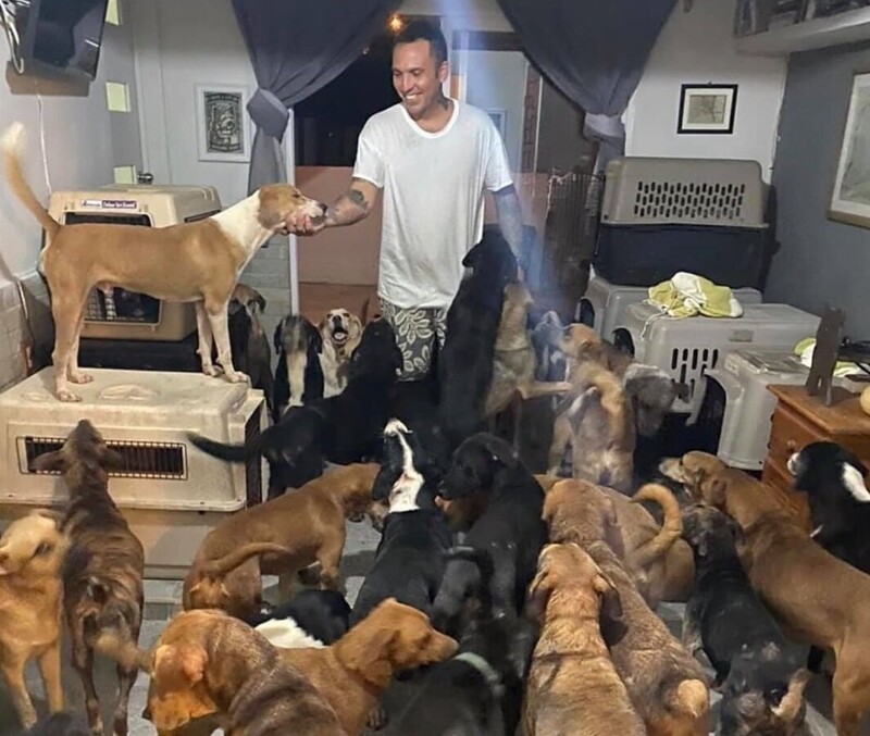 Мексиканец спас 300 животных от урагана, поселив их у себя дома