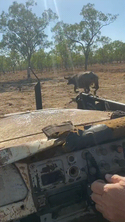 И почему раньше так не делали