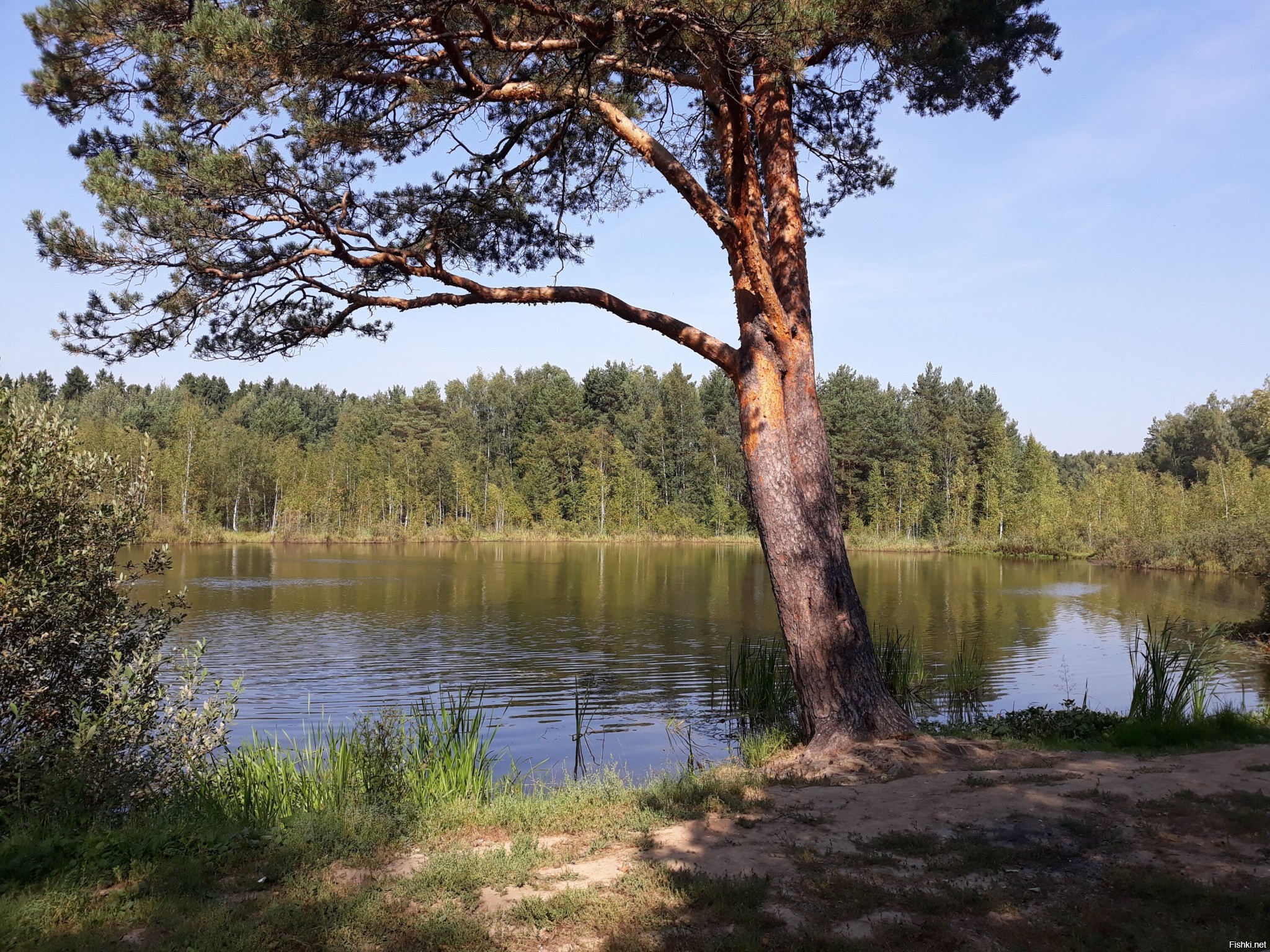 Черное озеро Екатеринбург