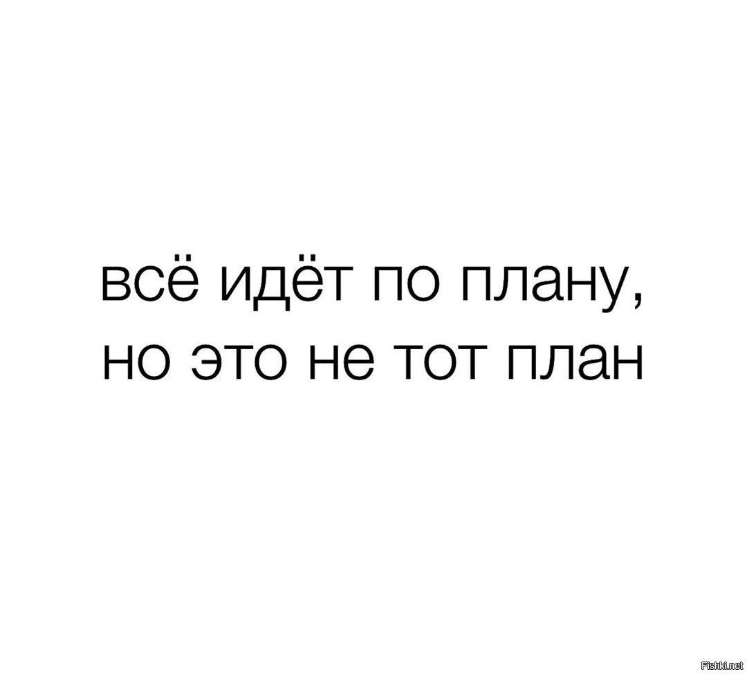 Все идет по плану автор