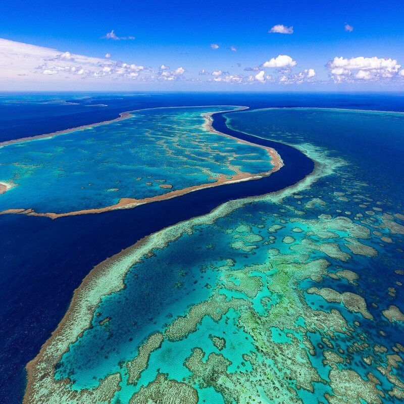 Большой барьерный риф, природа Австралии
