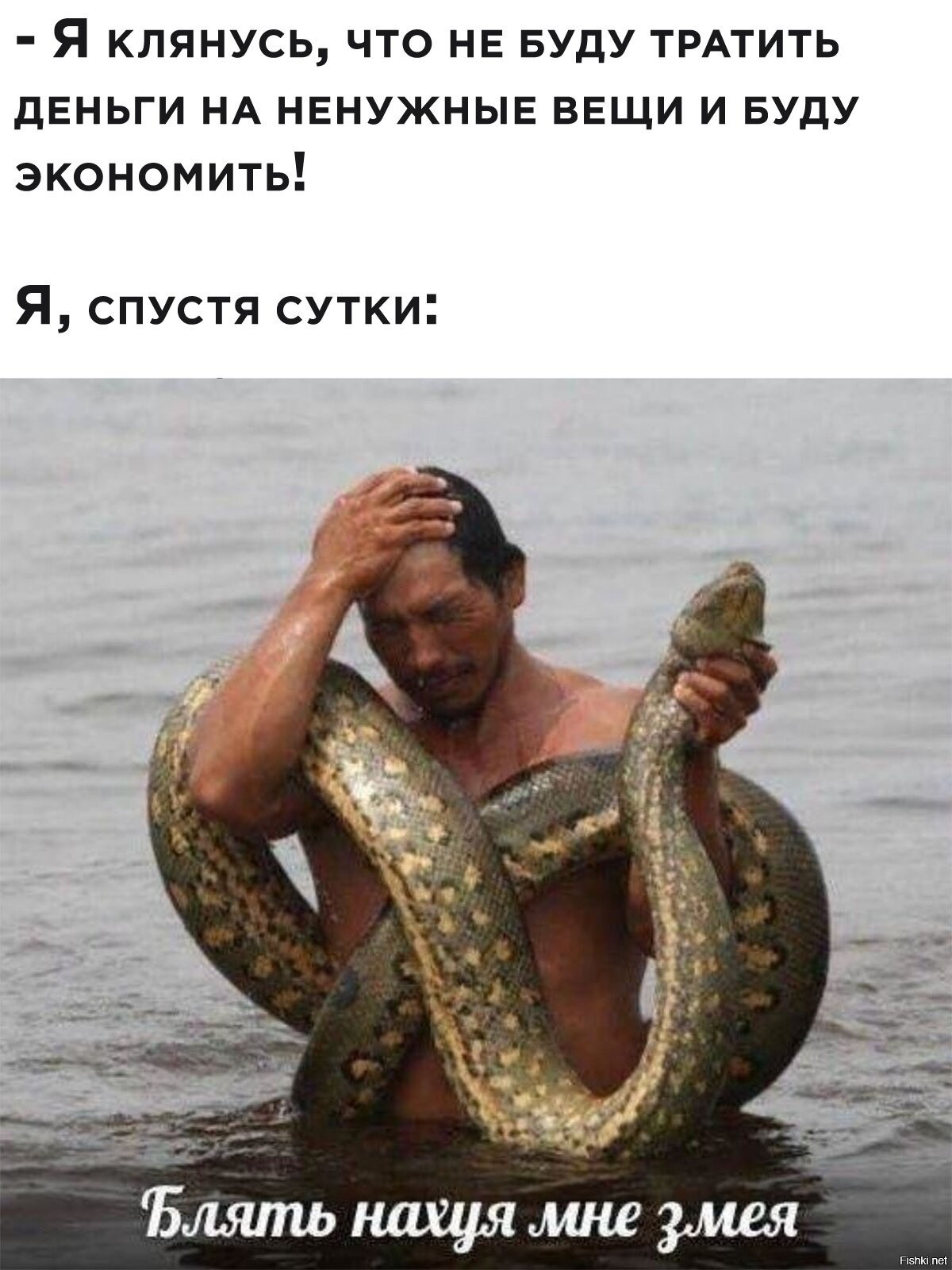 Клянусь смешные картинки