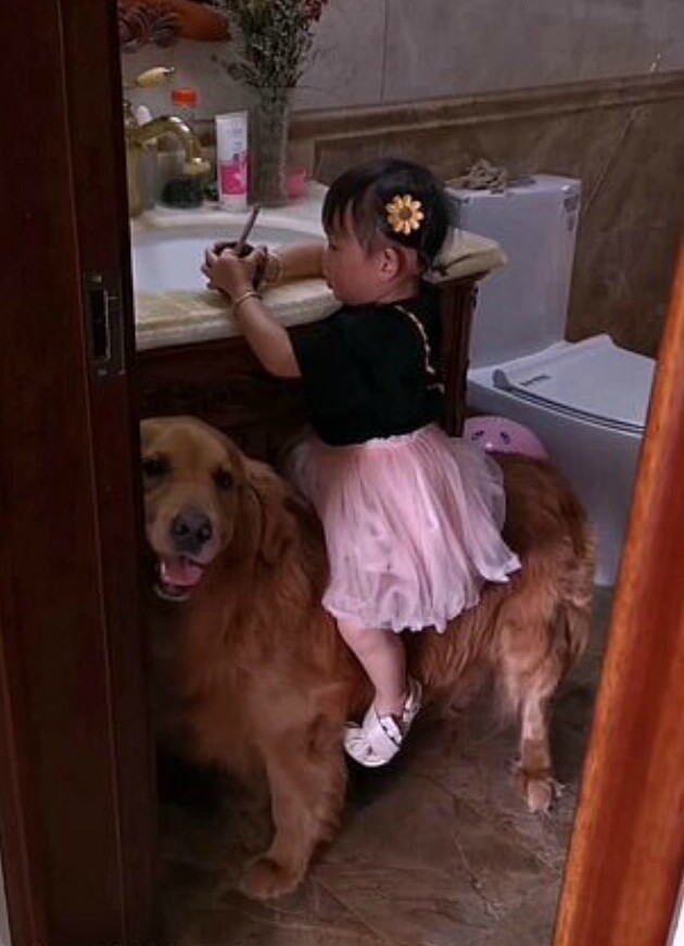 "Я тебя спасу": собака защищает девочку от маминой ругани