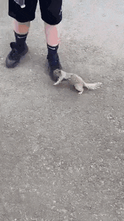 Разные гифки Разные гифки