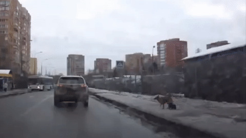 Человек