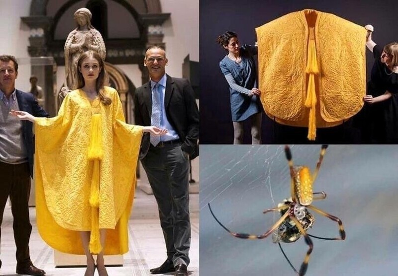Платье, сотканное пауками из шелковой паутины