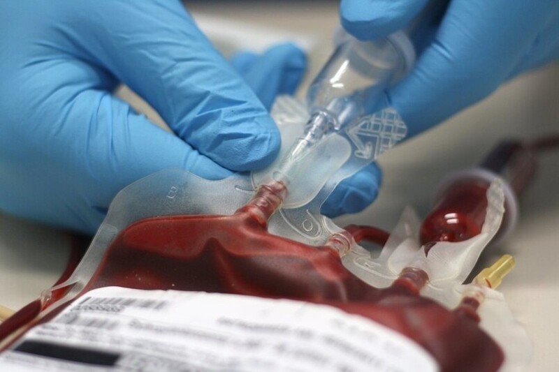 Кровь от крови твоей, история трансфузиологии