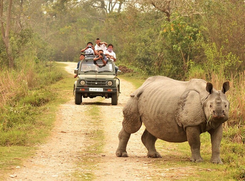 В Индии Туристы снова смогут посещать старейший национальный парк