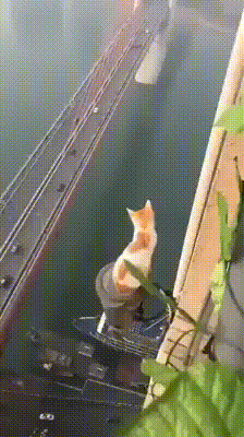 Просто гифки, всякие и разные Просто гифки, всякие и разные