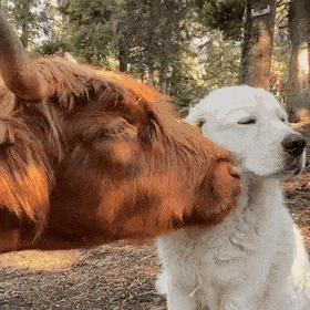 С добрым утром!