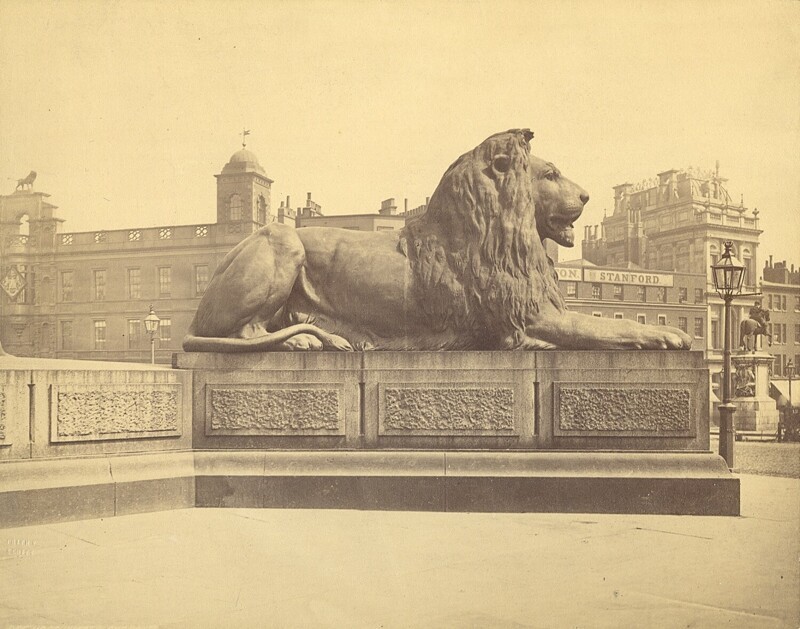 Статуя Льва, памятник Нельсона, Трафальгарская площадь, Лондон. ок. 1860