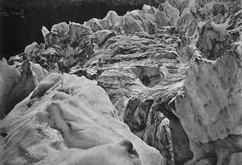 Военно-Осетинская дорога. Сосны "Гиганты" на высоте до 10000 футов над уровнем моря у Цейских ледников.