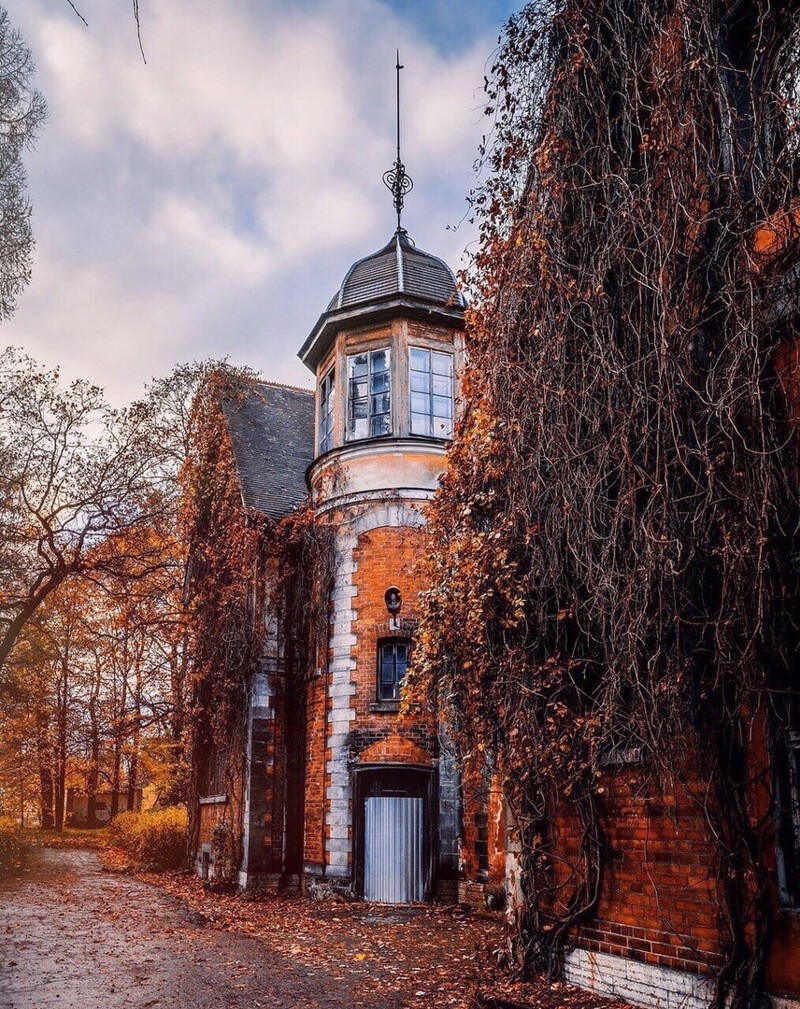 Осенний сказочный город Пушкин